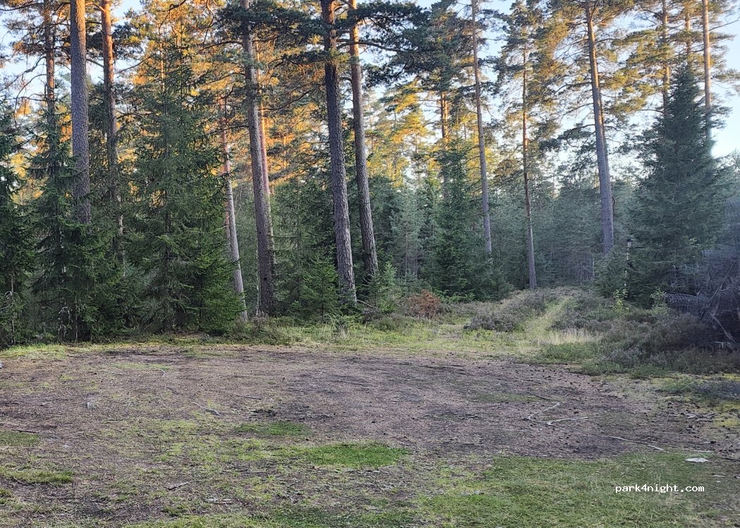 (33192) Hörle - — foto 2