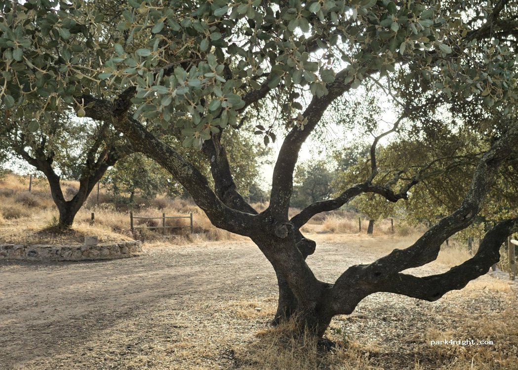 (06009) Badajoz - Camino Viejo — foto 2