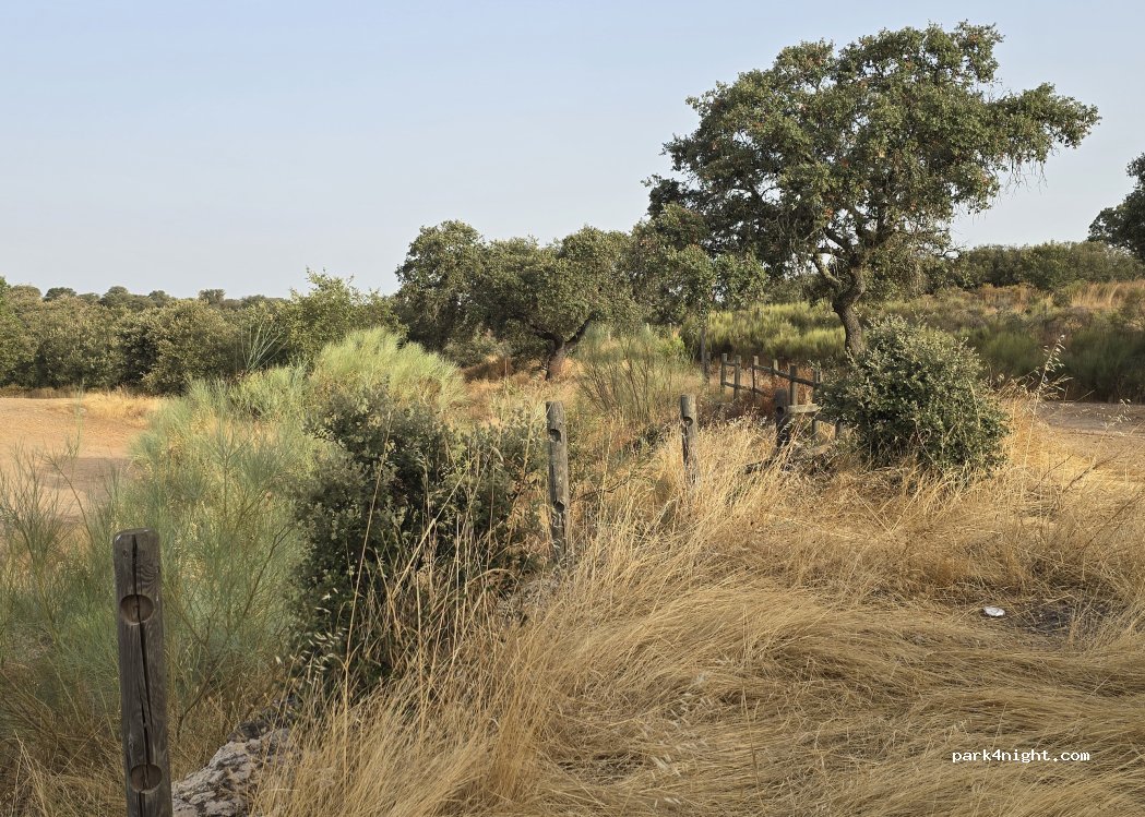(06009) Badajoz - Camino Viejo — foto 3