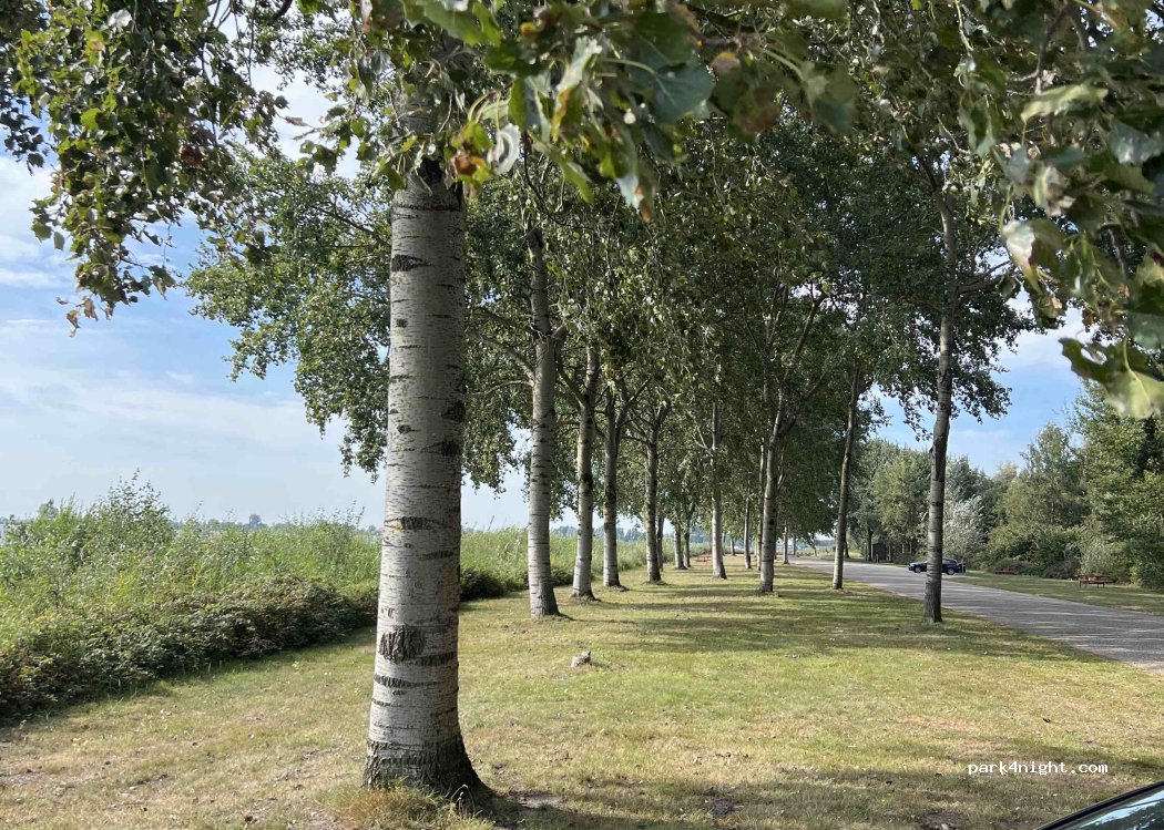 (8536TH) De Fryske Marren - A6 — foto 2