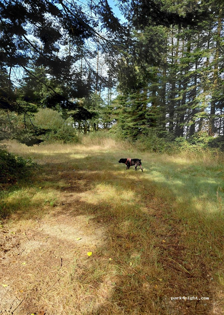 (29410) Le Cloître-Saint-Thégonnec - Unnamed Road — foto