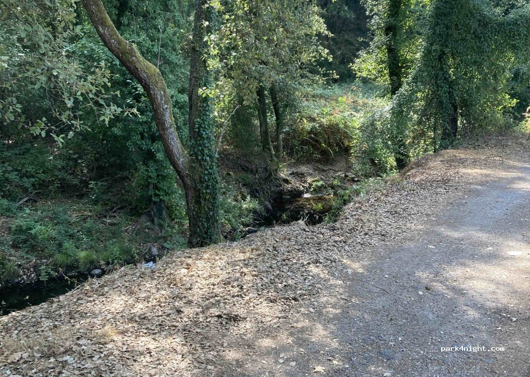 (83600) Les Adrets-de-l'Estérel - Route de l'Église — foto