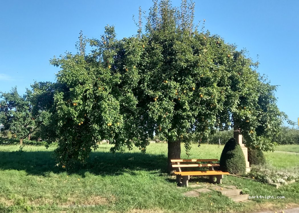 (77704) Oberkirch - Am Rebhag — foto 2