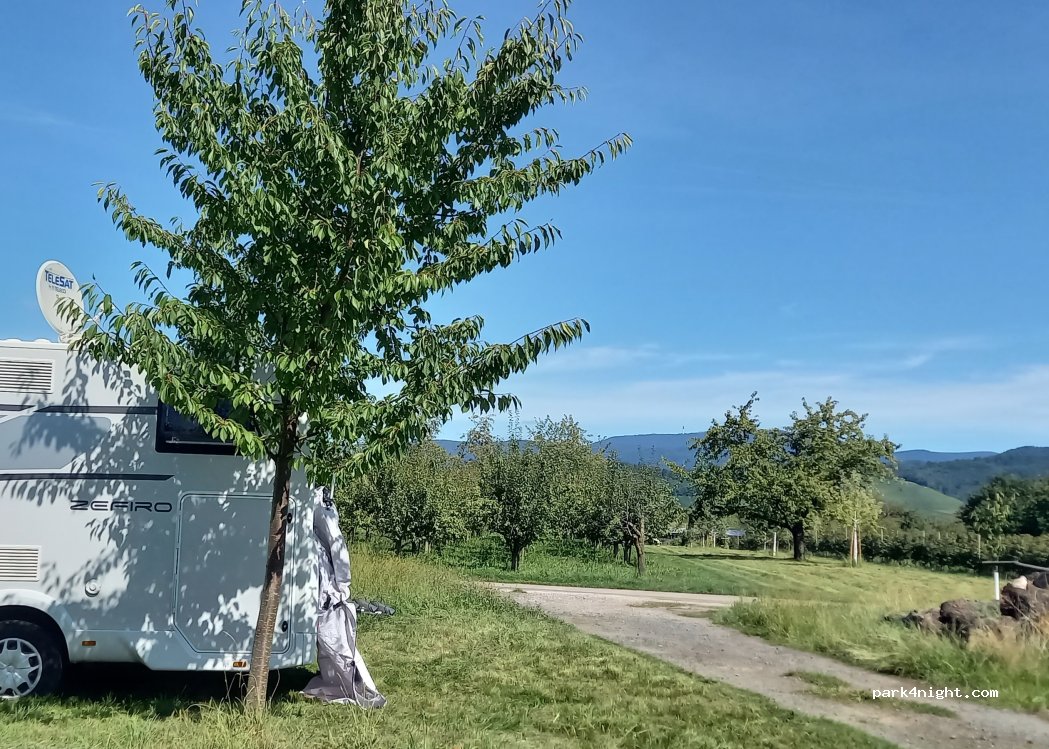 (77704) Oberkirch - Am Rebhag — foto 4