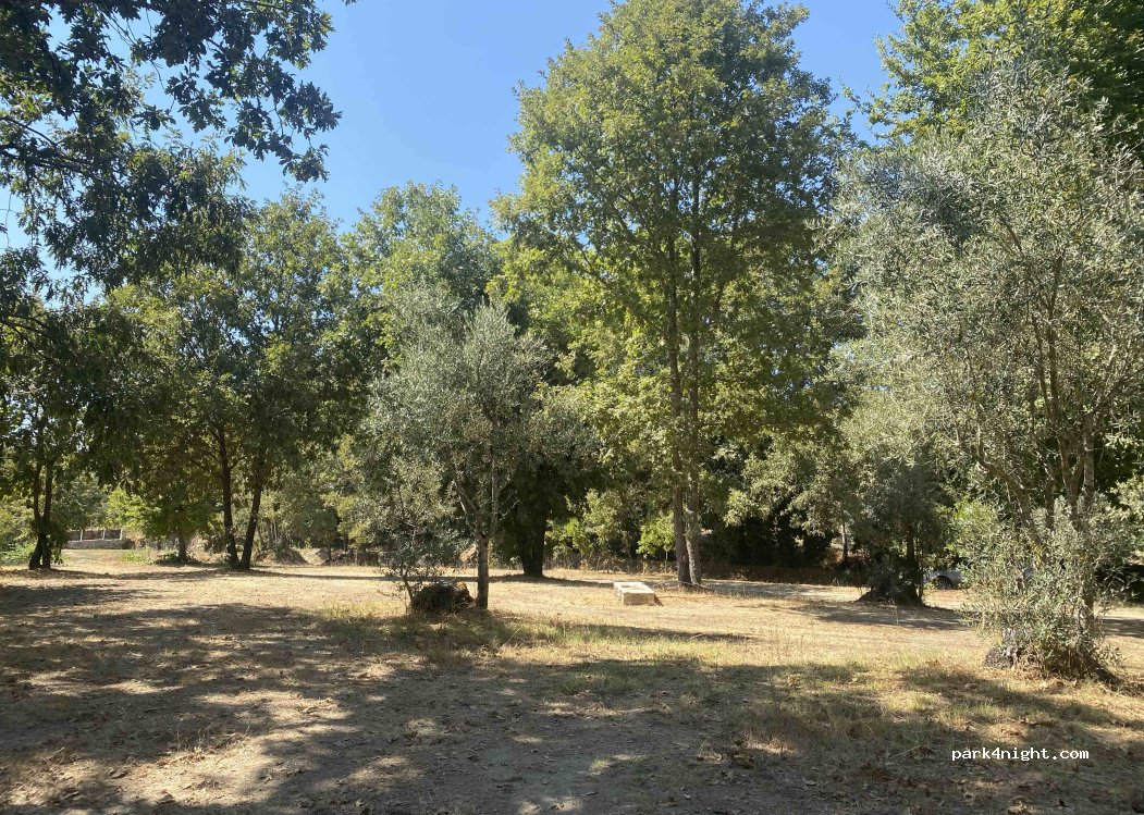Ston's Camping — foto 4