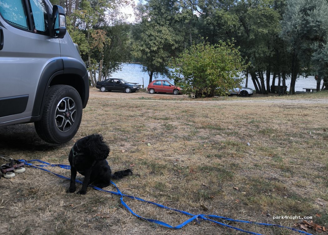 Ston's Camping — foto 5