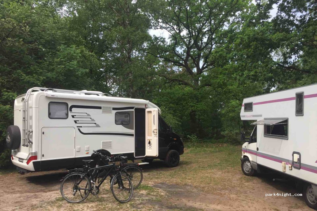 (29646) Bispingen - Behringer Heide — foto 2