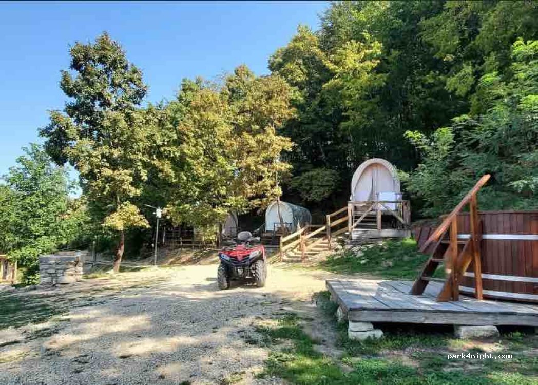 Centru de Echitatie si Hipoterapie — foto 2