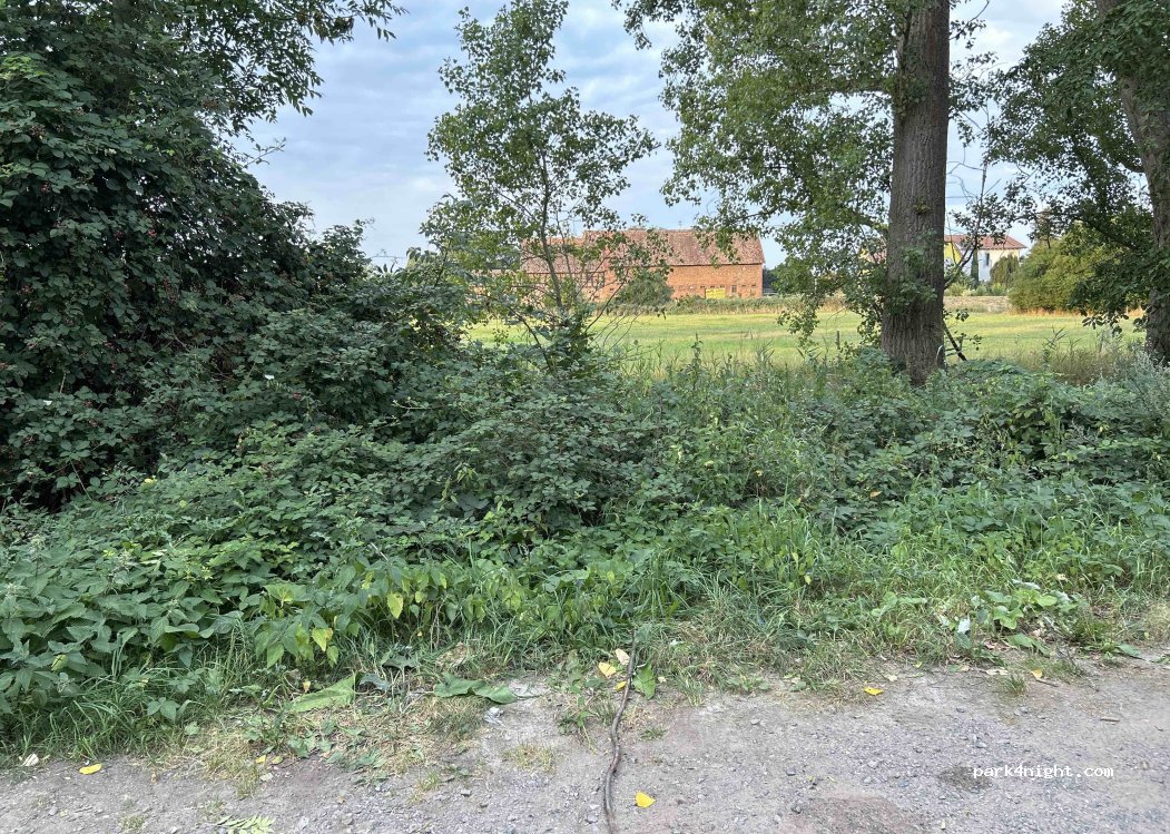 (67454) Haßloch - Lachener Weg — foto