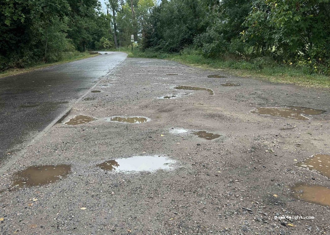 (67454) Haßloch - Lachener Weg — foto 2