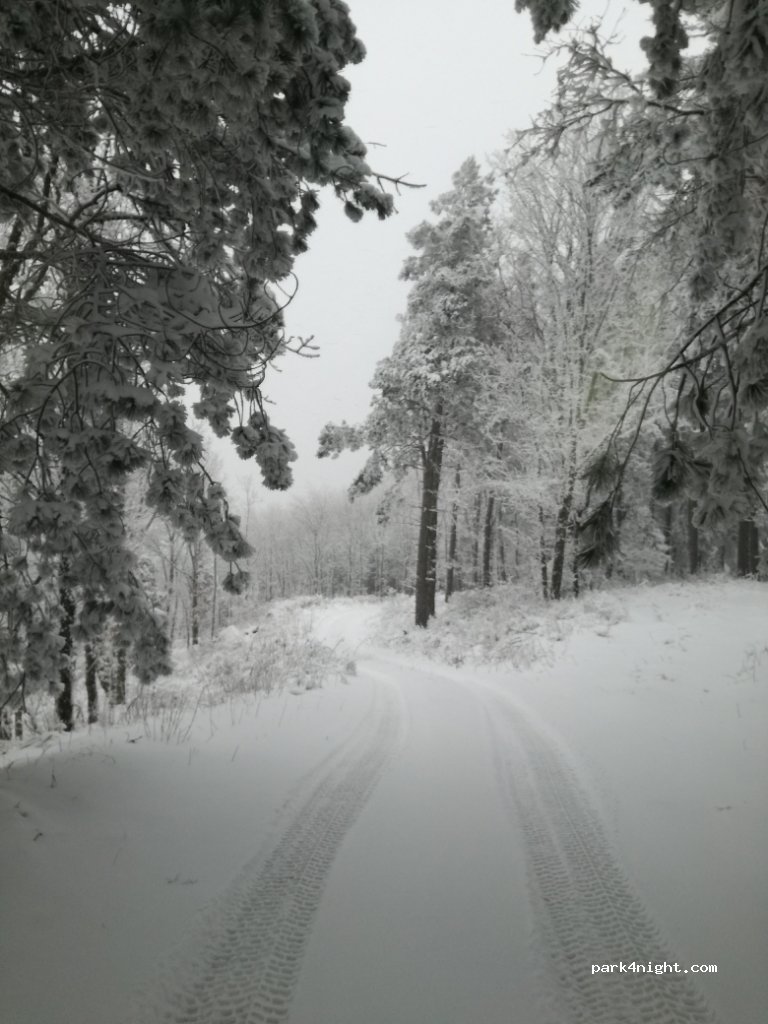 (631 00) Poligiros - Unnamed Road — foto 2