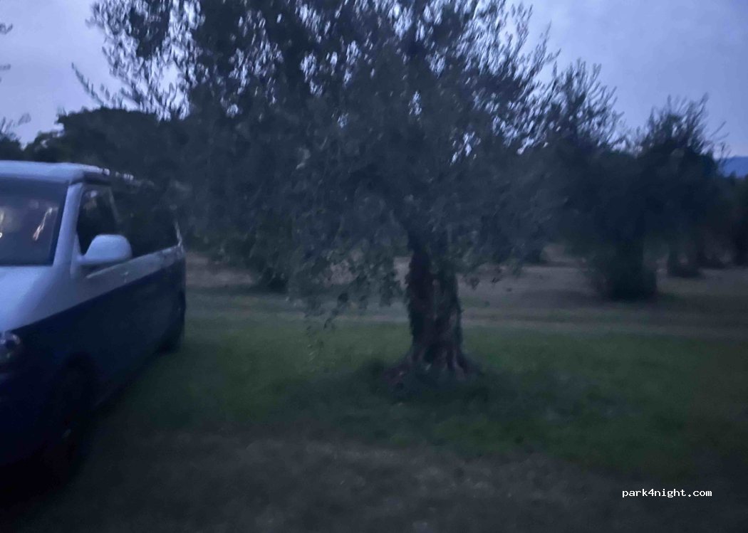 (25010) San Felice del Benaco - Via Baia del Vento — foto 4