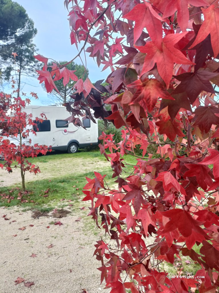 Quinta do Pinhoeiro — foto 5