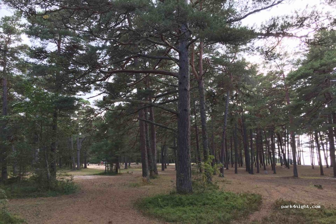 (76909) Vääna-Jõesuu - 6 Päästejaama tee — foto 2