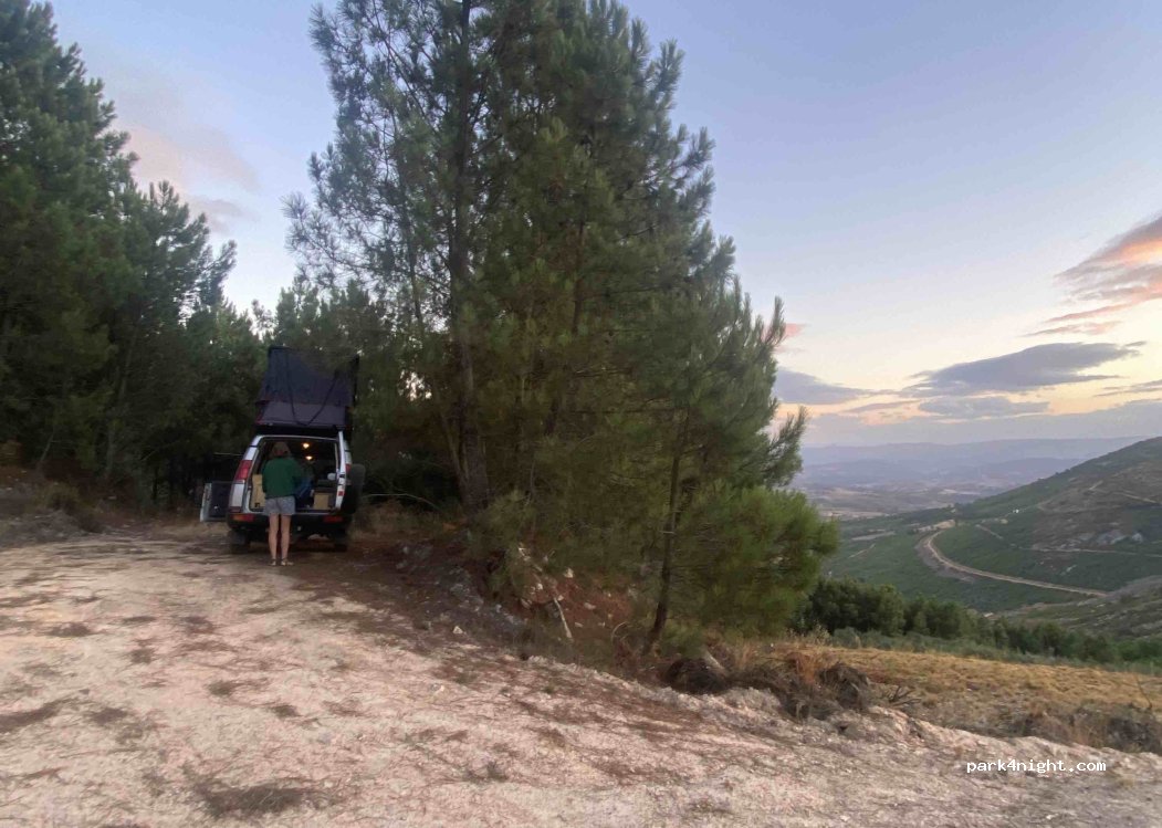 (5370-602) Mirandela - — foto