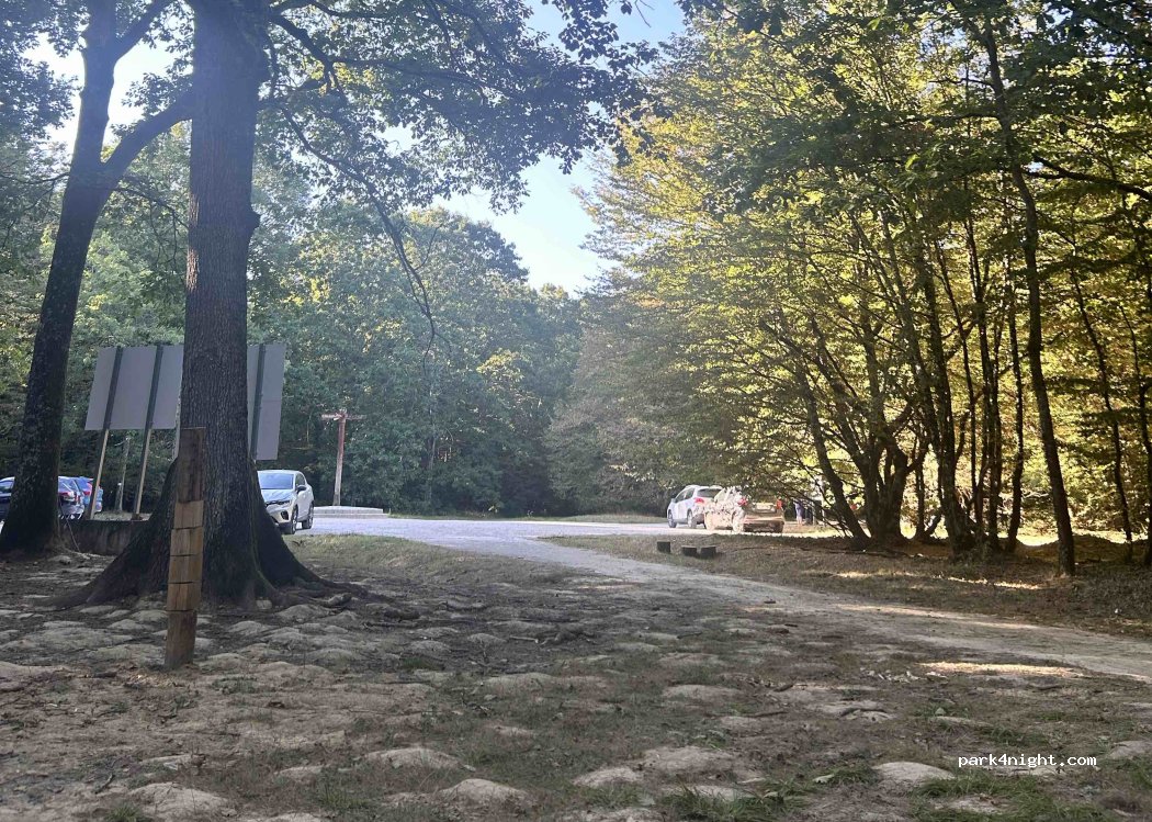 (37400) Souvigny-de-Touraine - Route de Montrichard — foto