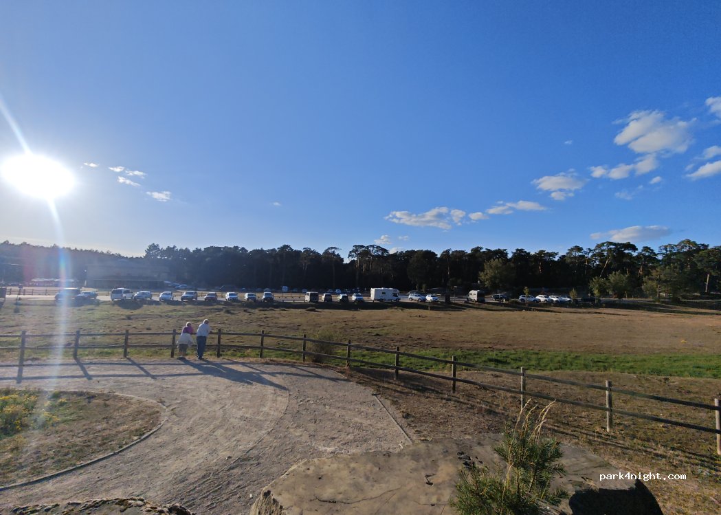(09670) Comunero de Revenga - Unnamed road — foto