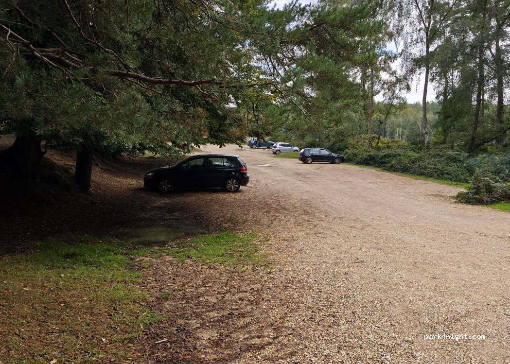 (SO40 7EH) Ashurst and Colbury - Deerleap Lane — foto