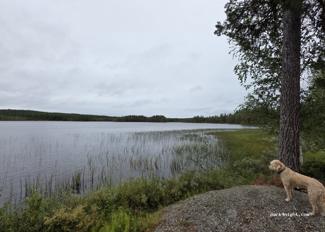 (833 97) Lidsjöberg - Unnamed road — foto