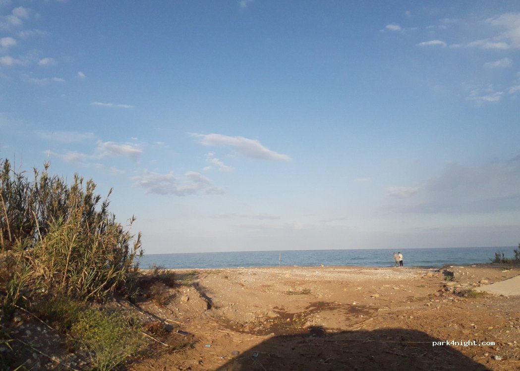 (12580) Benicarló - 250 Partida Río — foto 3
