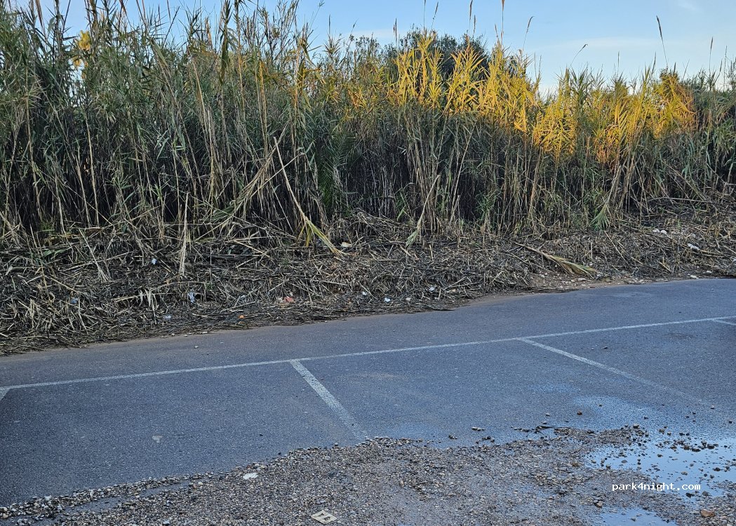 (12580) Benicarló - 250 Partida Río — foto 5