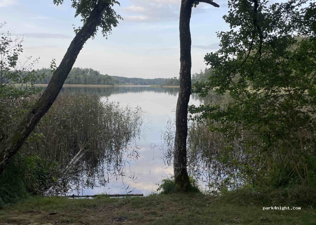 (30201) Vaišniūnai - — foto