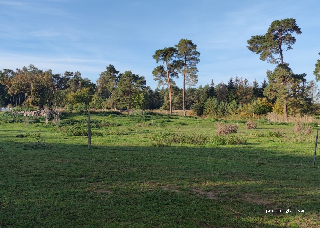 (17099) Galenbeck - — foto