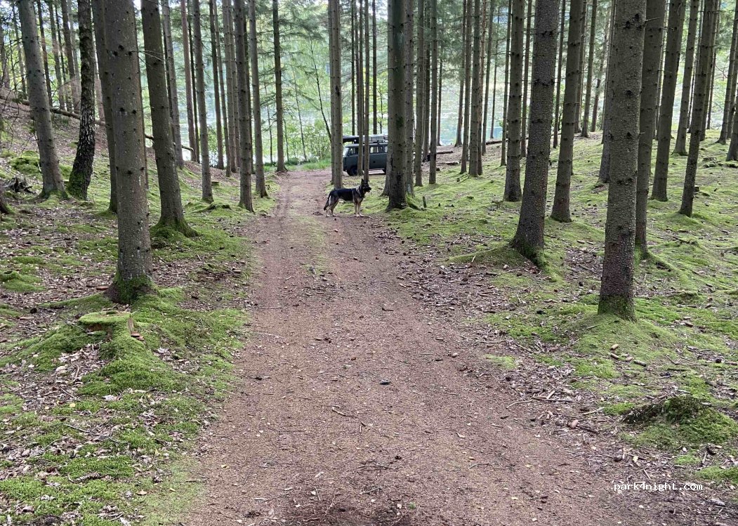 (313 95) Halmstad - Grön Vit slinga — foto
