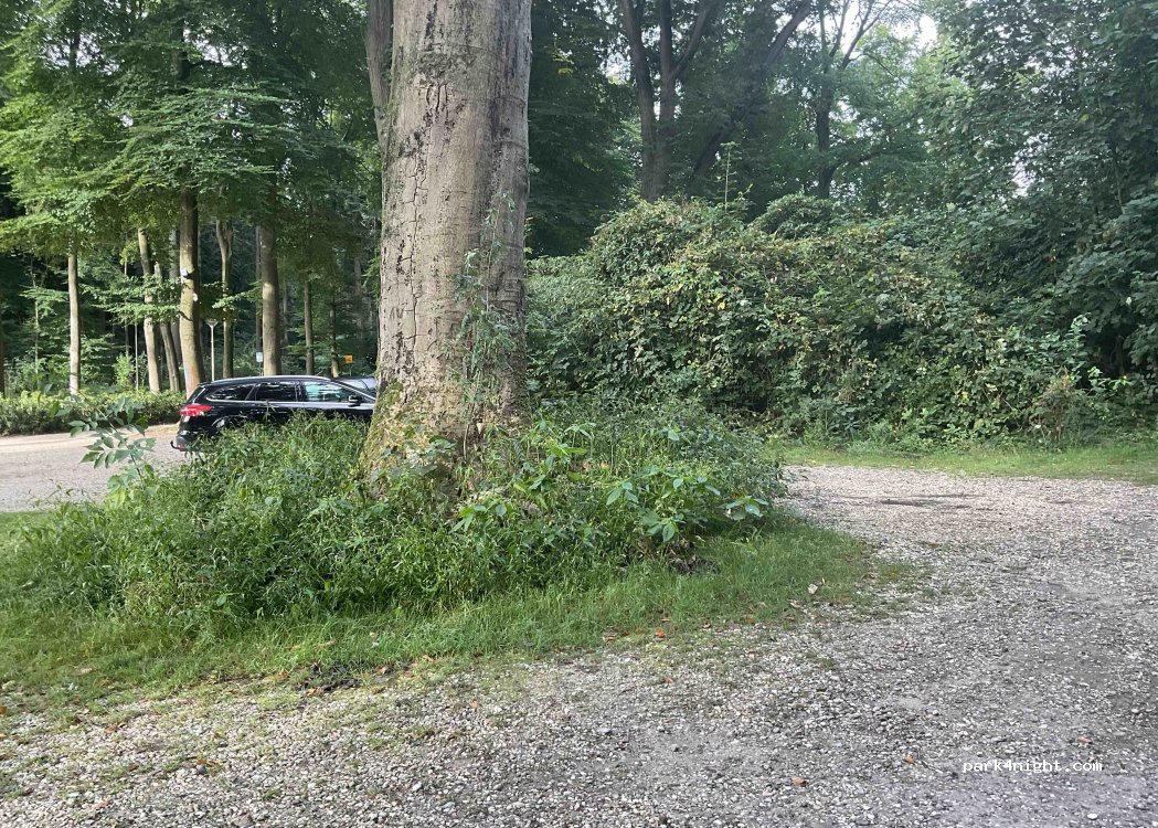 (6562XA) Berg en Dal - Rijlaan — foto