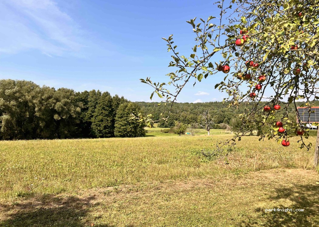 Hagwaldhof — foto