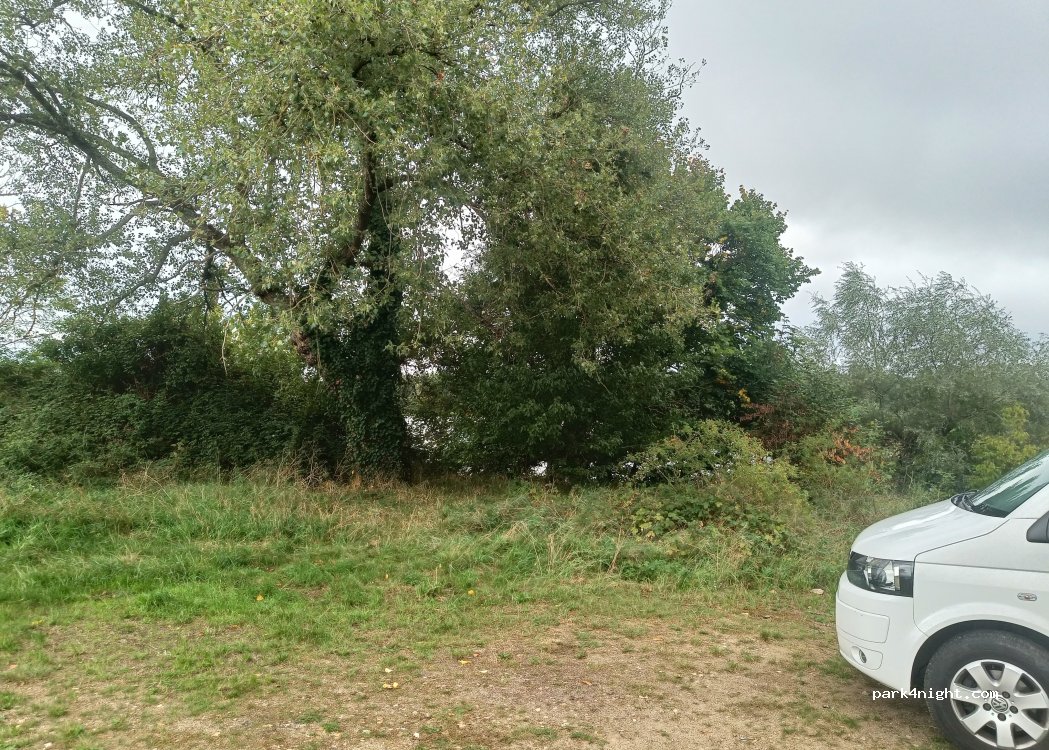 (45730) Saint-Benoît-sur-Loire - — foto