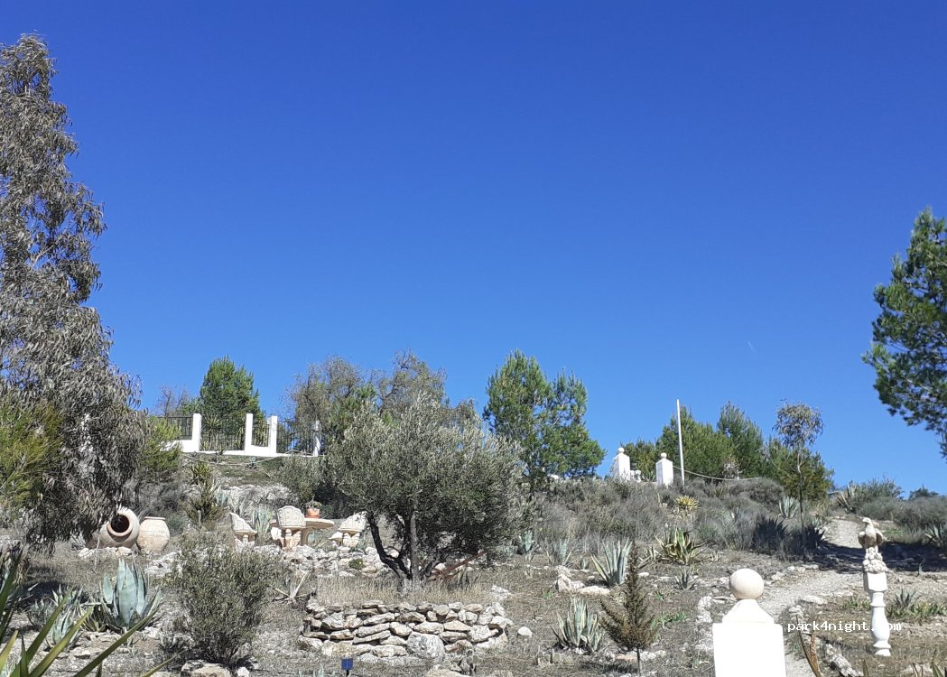 El ZORRO — foto 4
