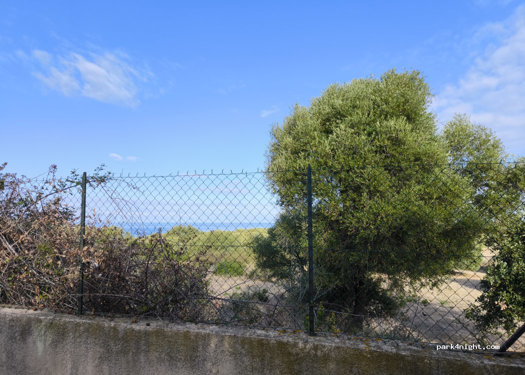 (20256) Corbara - Barangone — foto 2