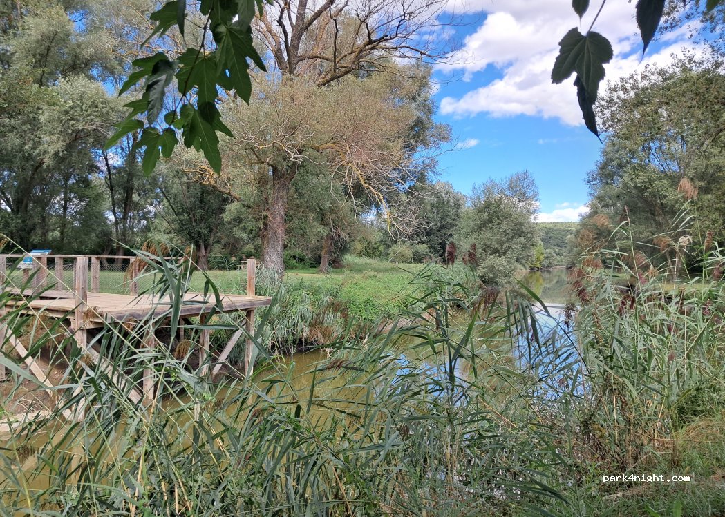 (30700) La Capelle-et-Masmolène - D 219 — foto 2