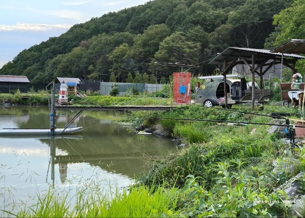 GOLDFISH CAMPING — foto