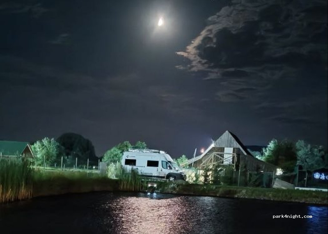 GOLDFISH CAMPING — foto 3