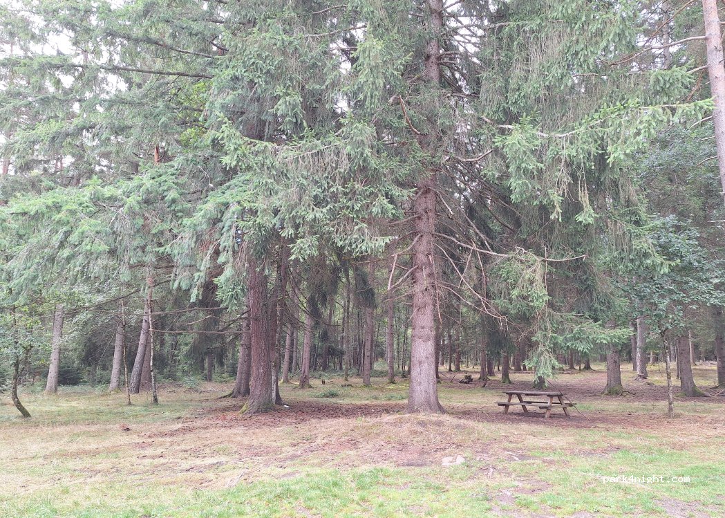 (15100) Ruynes-en-Margeride - D 4 — foto