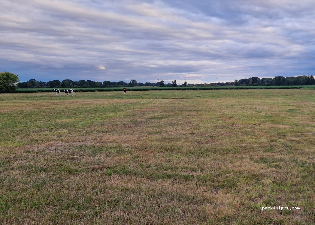 (31603) Steinbrink - Brennstege — foto