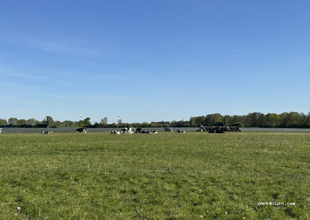 (31603) Steinbrink - Brennstege — foto 2