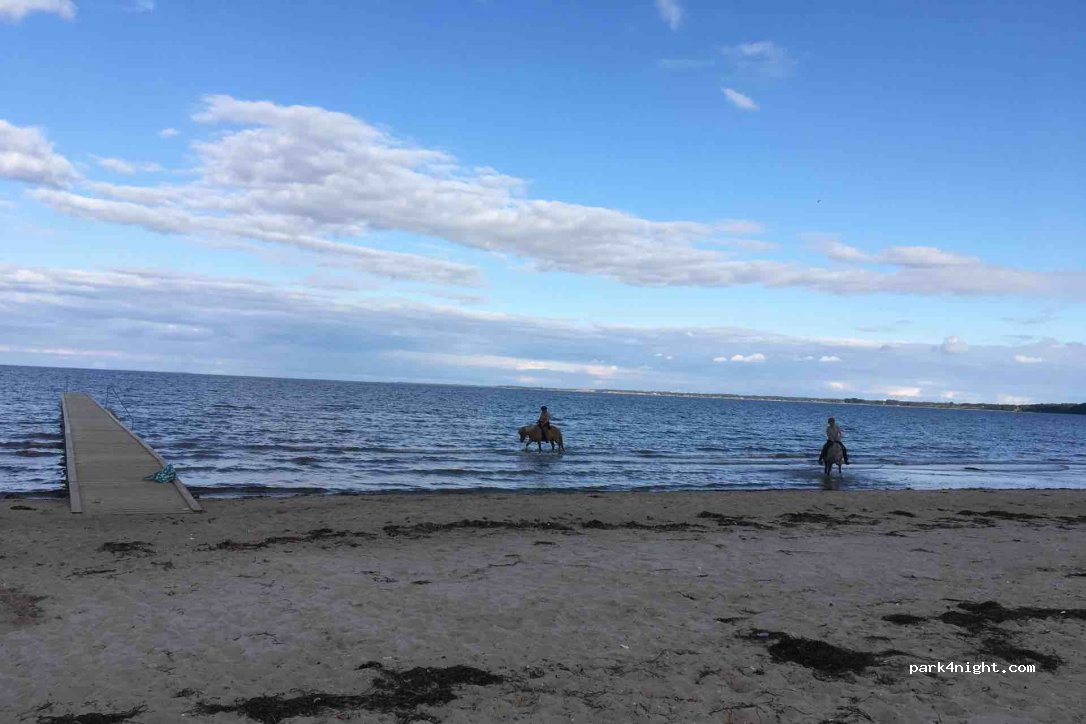Vejlby Fed Strand Camping — foto
