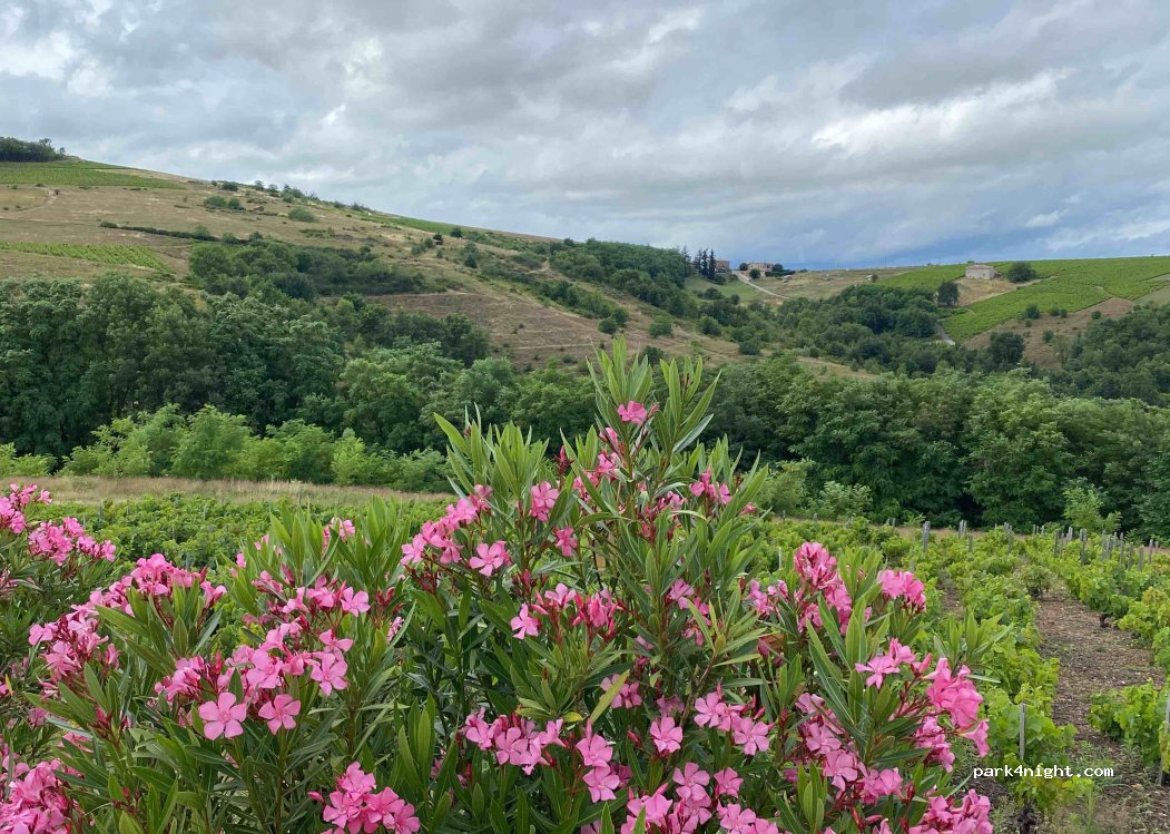 (69460) Salles-Arbuissonnas-en-Beaujolais - 32 Chemin de la Météorite — foto 3