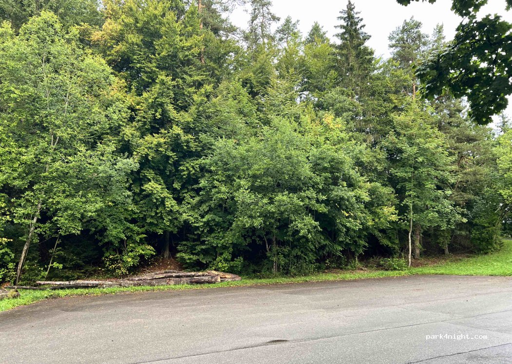 (72348) Rosenfeld - Rotenbühl — foto
