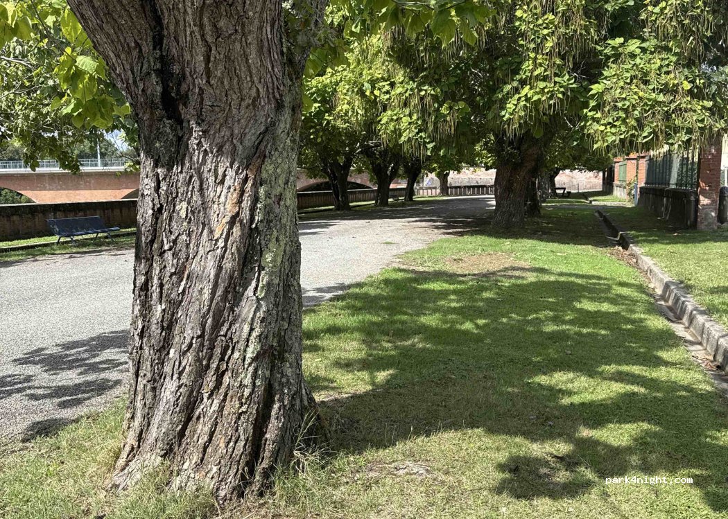 (82370) Reyniès - Esplanade Jean Moulin — foto 5
