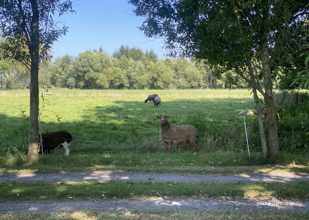 (26349) Jade - Heideweg 21 — foto 2