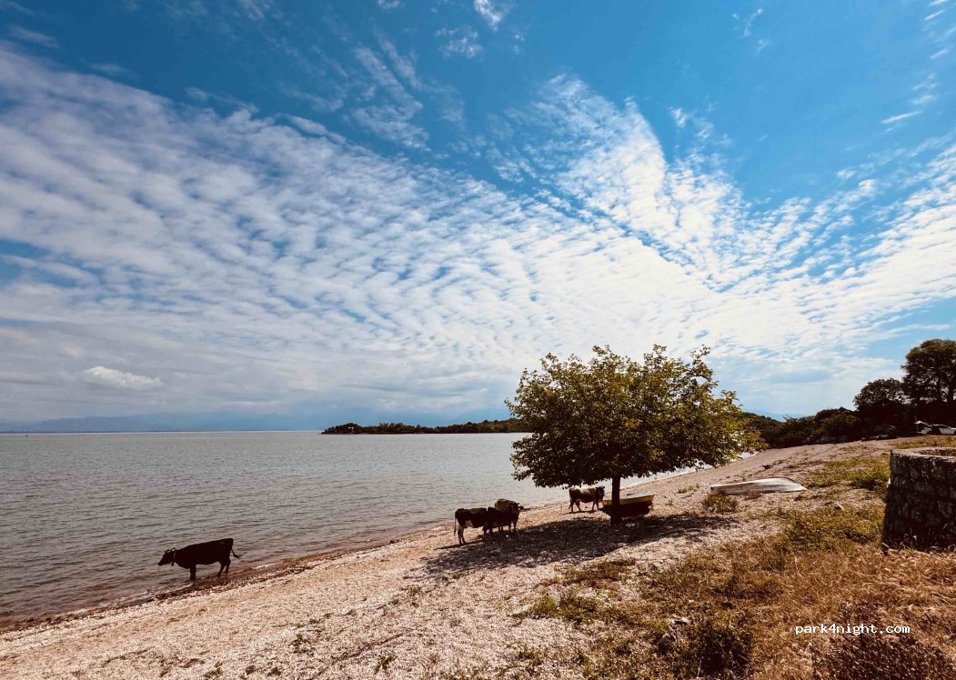 Camping konoba murici — foto 5