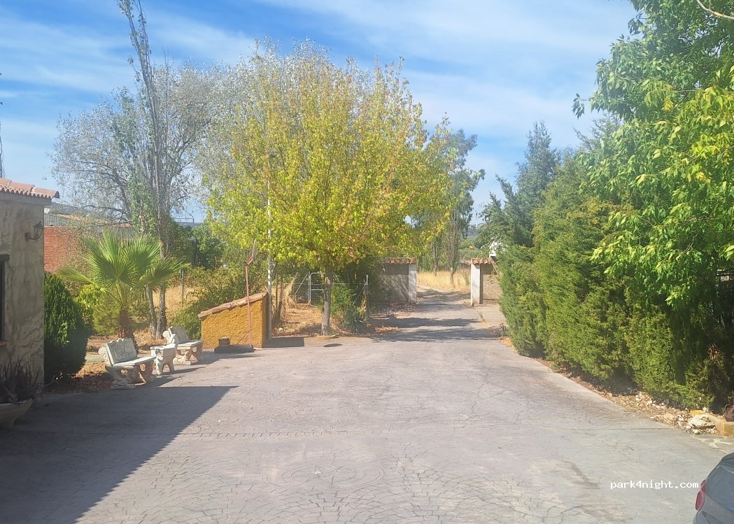 () Castellar - Carretera de Linares a Beas de Segura — foto