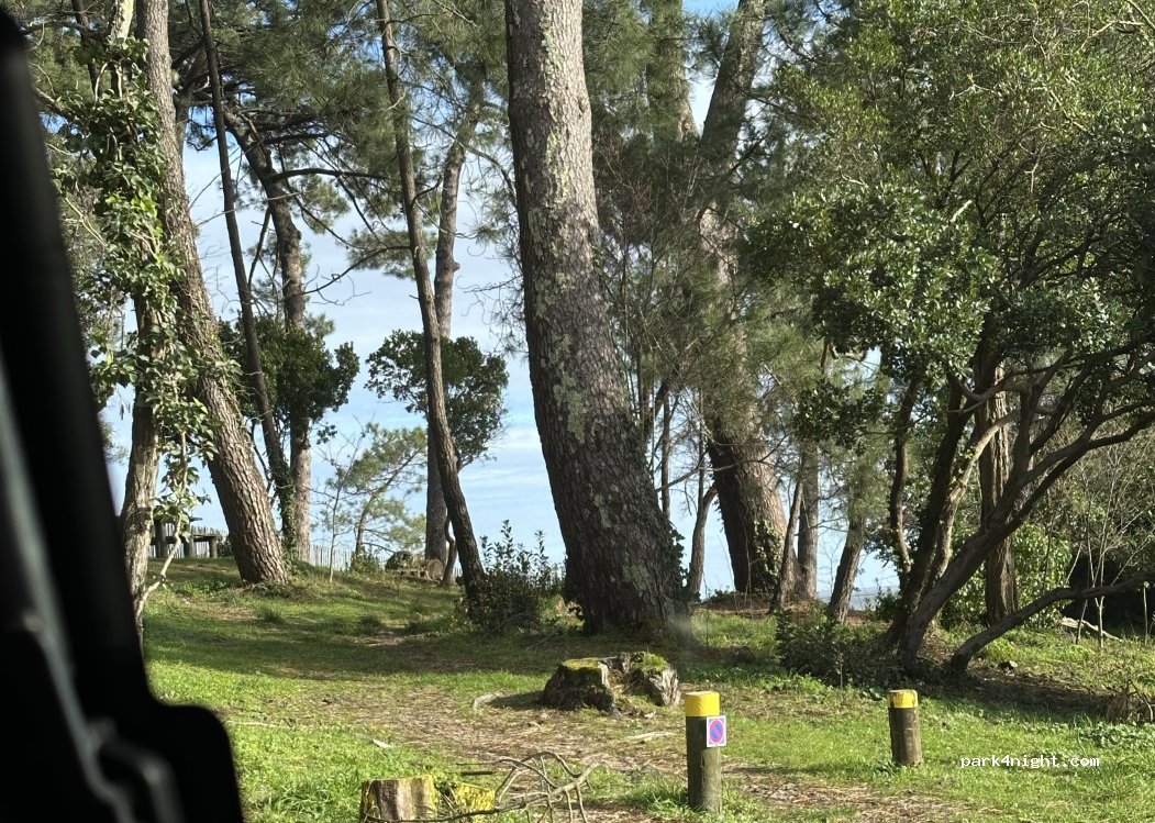 (33950) Lège-Cap-Ferret - 3 Impasse de la Source — foto 5