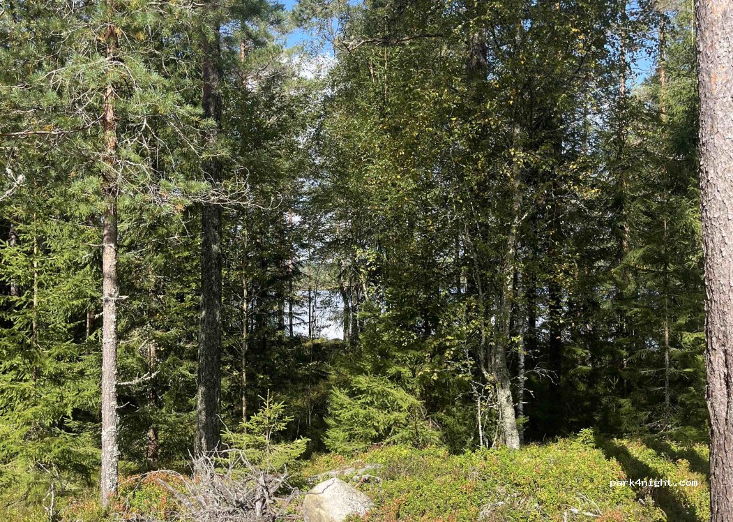 (671 94) Brunskog - — foto 2