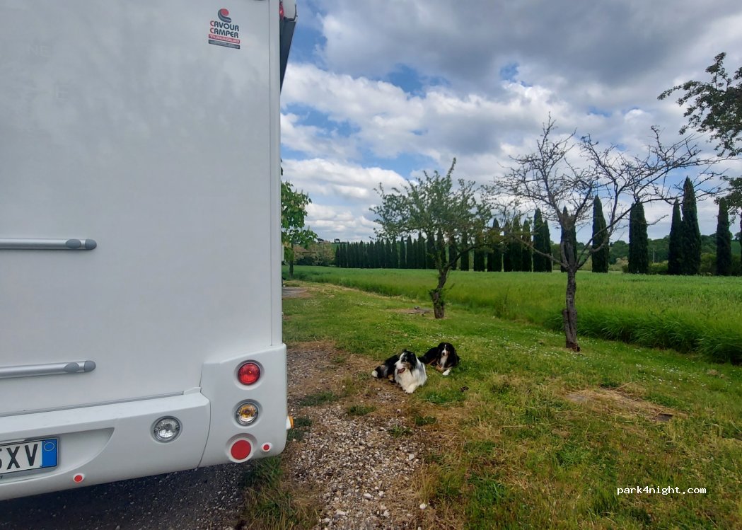 (53014) Ponte D'arbia - 526 Via Romana — foto 4