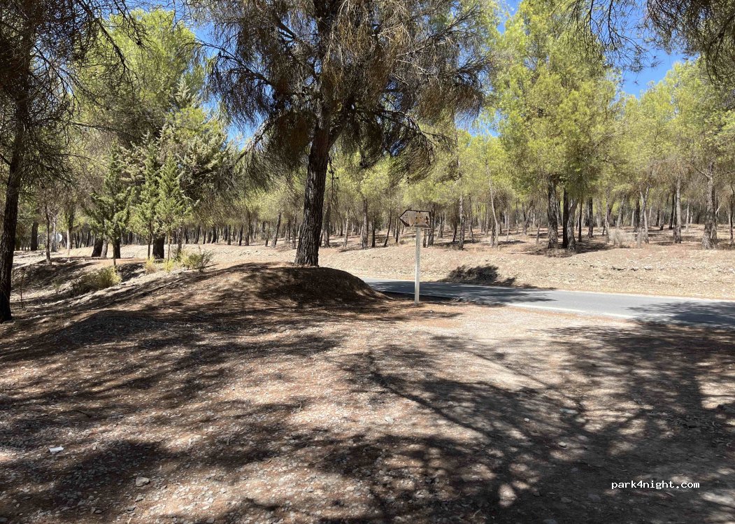 (18126) Arenas del Rey - A-338 — foto 2